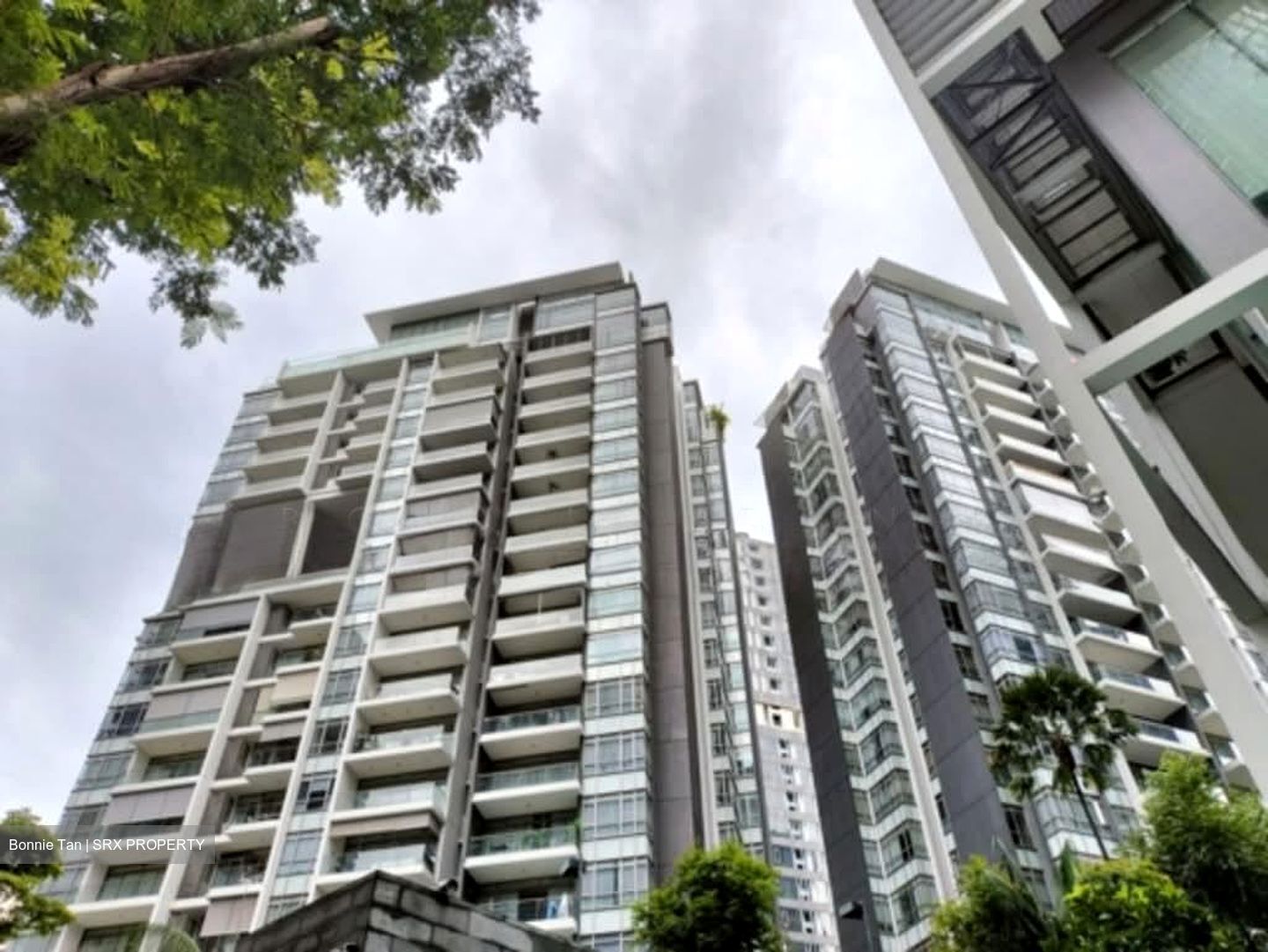 The Laurels (D9), Condominium #539964291